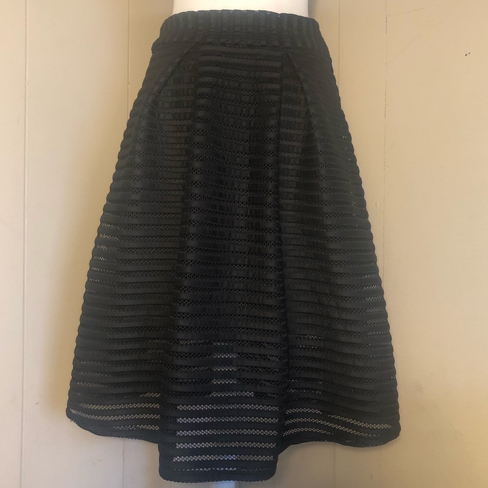 Paper moon A line pleated skirt lined mesh stripes